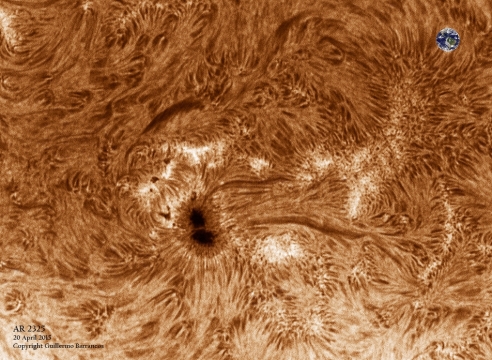 Solar surface - 20 April 2015
